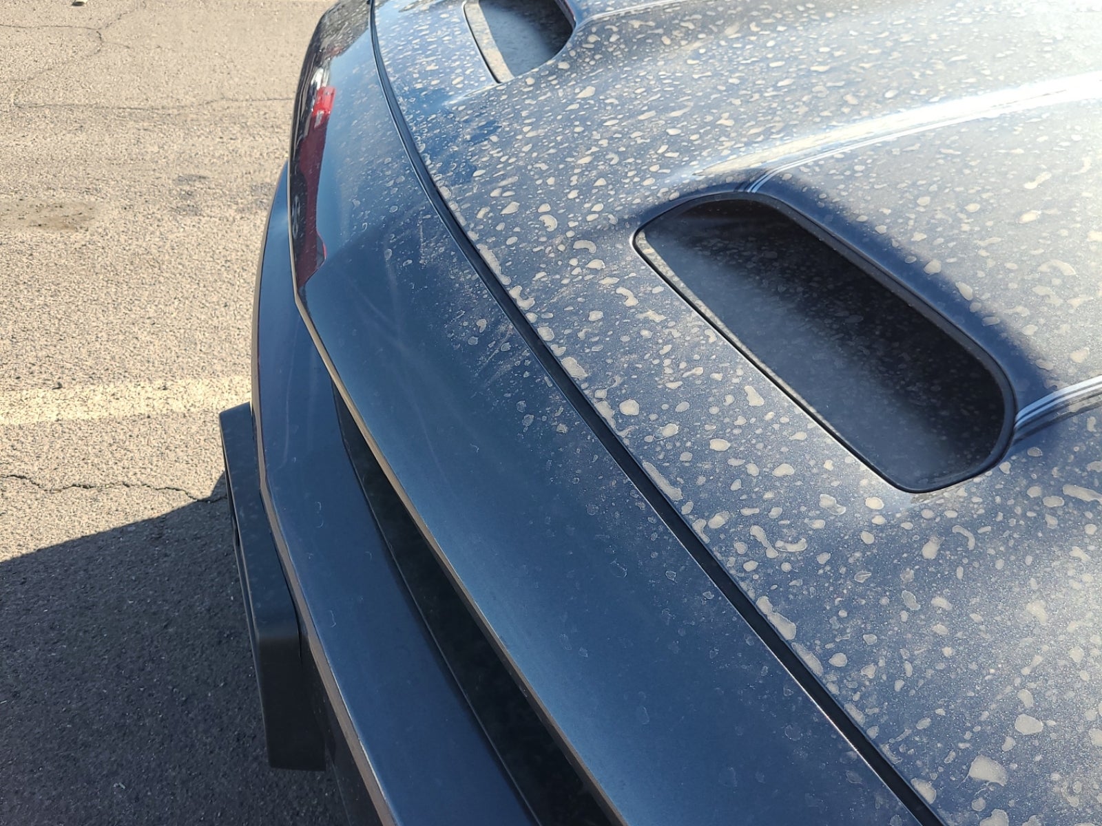 Vehicle Image 33 of 33 for 2019 Dodge Challenger